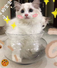 С��ż�Żݳ�