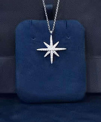 apmȫ����â������