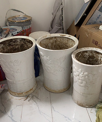 �����������裬��ſ��