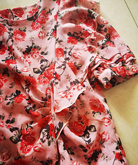 ѩ������