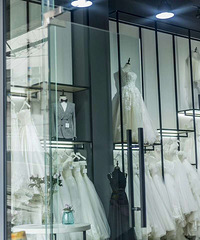 ��ɴ���ɴ����