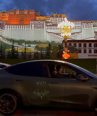 ��˹����model y ����