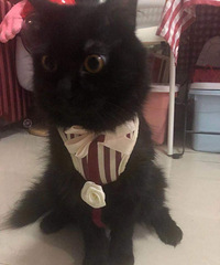 �������������