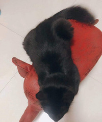 �������������