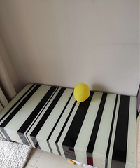 �����üҾ�