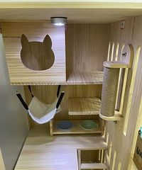 ��Ʒľ��è������һ�׶���������60���ף�