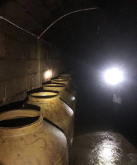 �ݲ�̳��Ǯ����