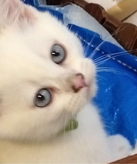 ����