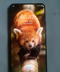 һ��vivo nexs11+128g�콢��