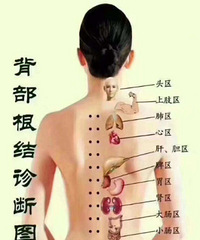 ���ݿ�ת��