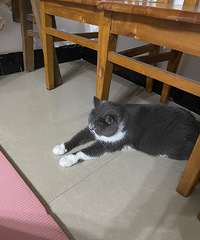 ���콭����һ�������������������