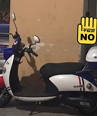 ���������ŵϵ綯��