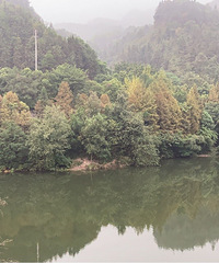 ����ҽԺ��쿨����