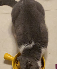 è�����۳������׺���԰��