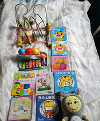 �ı����ټ��˼���������