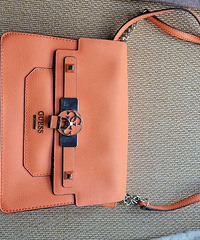 guess �ʲ��