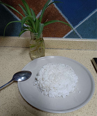�óԵ�����