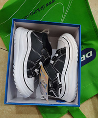 ȫ�½���ʿ23�����Ь