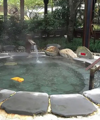 ת������԰��ȪƱ