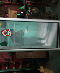 ���ñ���9����500Ԫ����ƺ���н�����