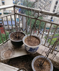 ����10-20һ��