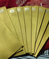 256��ɭ��ȯ10��