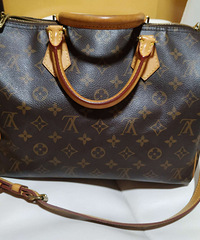 LV speedy30�����