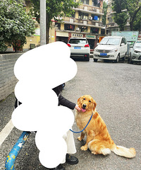 ���ֽ�ë�ͼ۳��ۣ���