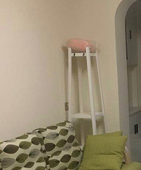 ת��Ʒ�Ʋ���ɳ�����̳�������Ʊ�ݣ�����Ҫ��һ�£�