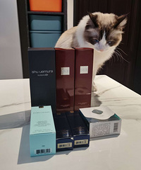 ȫ����˰�ۻ���Ʒת��