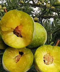 ������̬ˮ�������Ż�ת���ˣ�