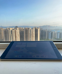 ��9.5��ipad9��256G��