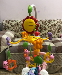 �ı�Ӥ���������˦��