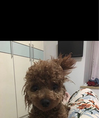 �޳����а��ĵ�����