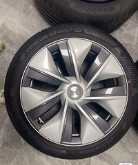 ����˹��model Y19����챺���̥