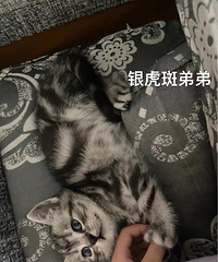 ������˾�Ҽҳ�