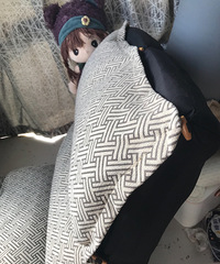 ����ɳ��