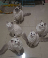 ��ż�������¼ң�