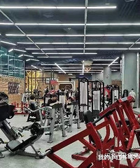 ת��ά��˹����˽�̳����