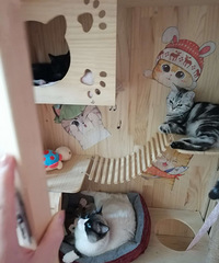 ��ɫ��ż������û������2���Ѵ����磬Ѱ�Һ������г�