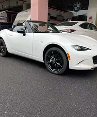 ���Դ�Mx5 �ֶ����� �Զ�Ӳ�� ϡ��Ʒ�� ֧��Ԥ��