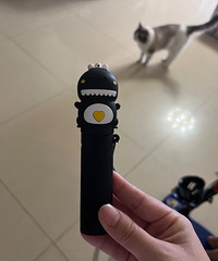 ���ӻ���ת��