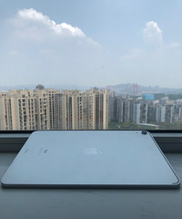 ��ipadpro11�磨256G��