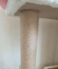���������᡿����è����ת��