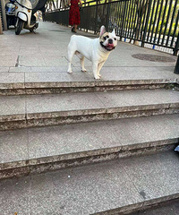 �����ܵ�