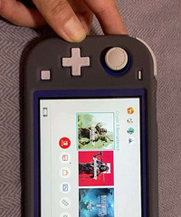 Switch lite��Ϸ��