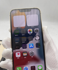 ת������iPhone 13Pro ��ɫ512g���ڴ������