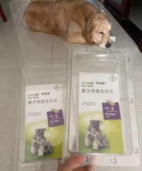 ��һ���ݶ�����ҩ��������