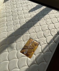 ��������ת��