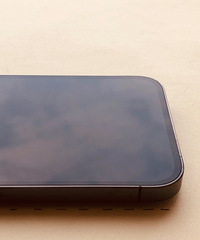 4299��12promax��256G��